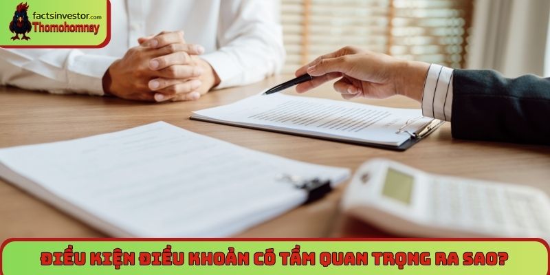 Điều kiện điều khoản có tầm quan trọng ra sao?