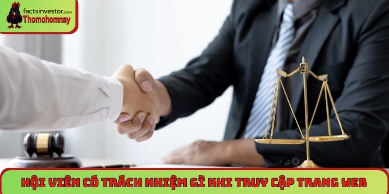 Hội viên có trách nhiệm gì khi truy cập trang web