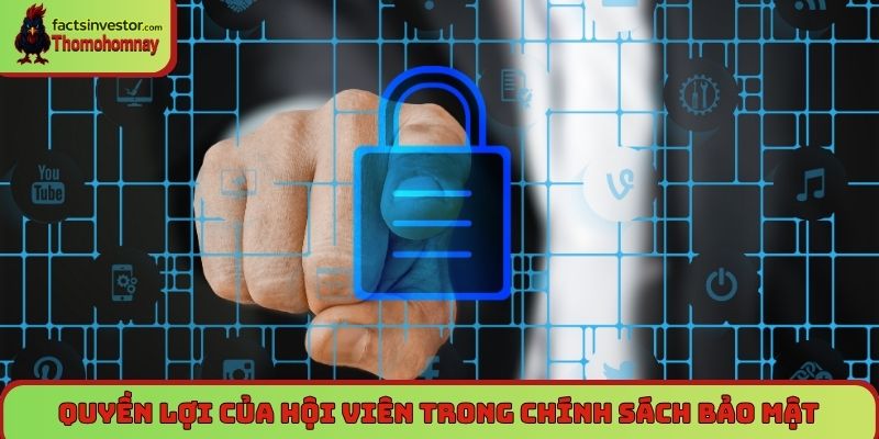Quyền lợi của hội viên trong chính sách bảo mật